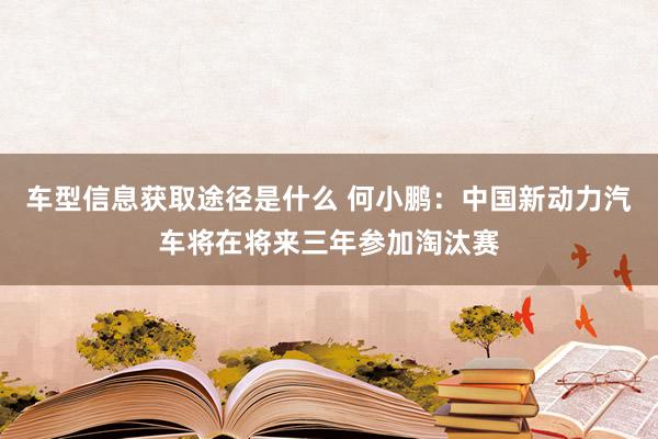 车型信息获取途径是什么 何小鹏：中国新动力汽车将在将来三年参加淘汰赛