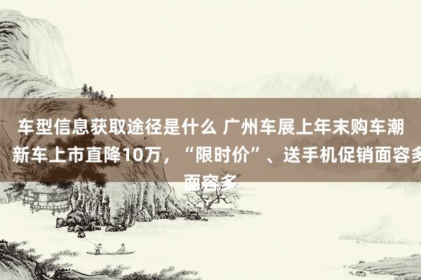 车型信息获取途径是什么 广州车展上年末购车潮：新车上市直降10万，“限时价”、送手机促销面容多