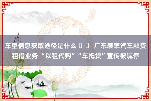 车型信息获取途径是什么 		 广东表率汽车融资租借业务 “以租代购”“车抵贷”宣传被喊停