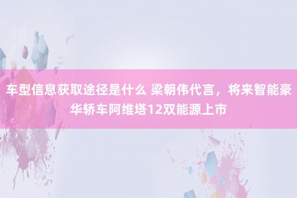 车型信息获取途径是什么 梁朝伟代言，将来智能豪华轿车阿维塔12双能源上市