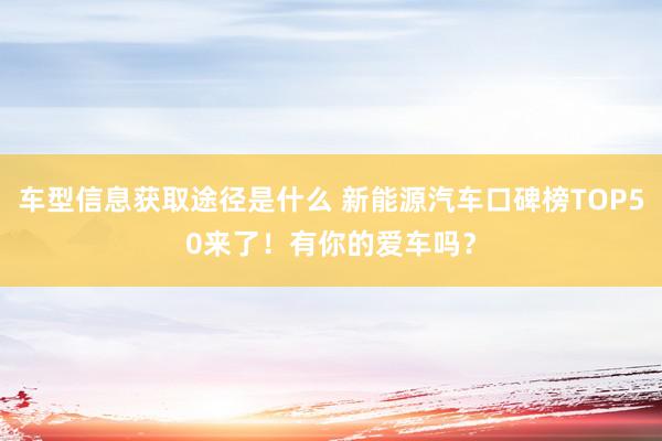 车型信息获取途径是什么 新能源汽车口碑榜TOP50来了！有你的爱车吗？