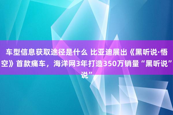 车型信息获取途径是什么 比亚迪展出《黑听说·悟空》首款痛车，海洋网3年打造350万销量“黑听说”