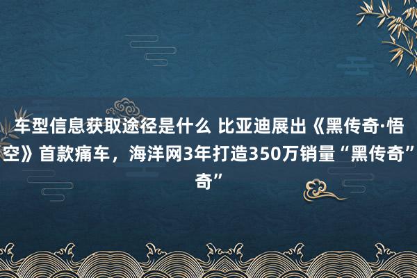 车型信息获取途径是什么 比亚迪展出《黑传奇·悟空》首款痛车，海洋网3年打造350万销量“黑传奇”