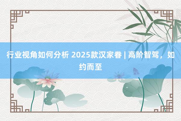 行业视角如何分析 2025款汉家眷 | 高阶智驾，如约而至