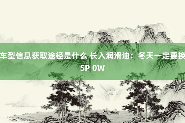 车型信息获取途径是什么 长入润滑油：冬天一定要换SP 0W