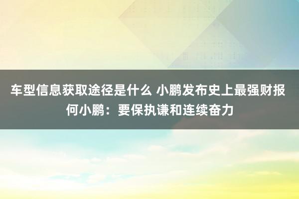 车型信息获取途径是什么 小鹏发布史上最强财报 何小鹏：要保执谦和连续奋力