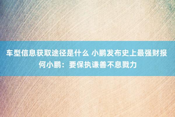 车型信息获取途径是什么 小鹏发布史上最强财报 何小鹏：要保执谦善不息戮力