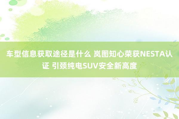 车型信息获取途径是什么 岚图知心荣获NESTA认证 引颈纯电SUV安全新高度