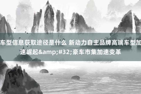 车型信息获取途径是什么 新动力自主品牌高端车型加速崛起&#32;豪车市集加速变革