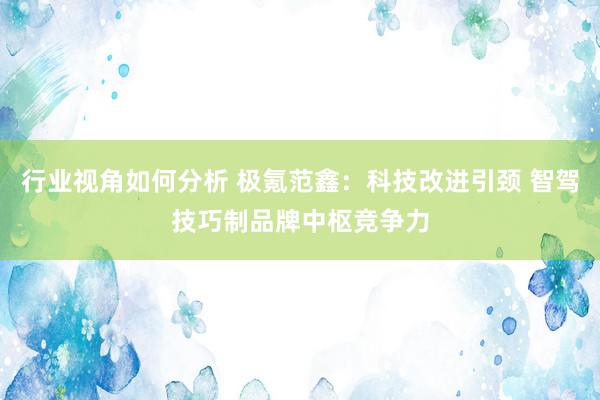 行业视角如何分析 极氪范鑫：科技改进引颈 智驾技巧制品牌中枢竞争力