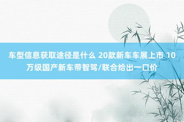 车型信息获取途径是什么 20款新车车展上市 10万级国产新车带智驾/联合给出一口价