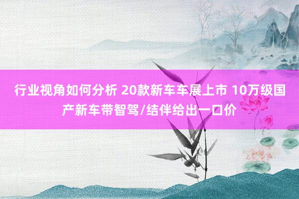 行业视角如何分析 20款新车车展上市 10万级国产新车带智驾/结伴给出一口价