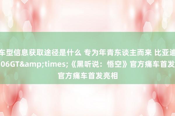 车型信息获取途径是什么 专为年青东谈主而来 比亚迪海豹06GT&times;《黑听说：悟空》官方痛车首发亮相