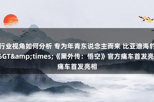 行业视角如何分析 专为年青东说念主而来 比亚迪海豹06GT&times;《黑外传：悟空》官方痛车首发亮相