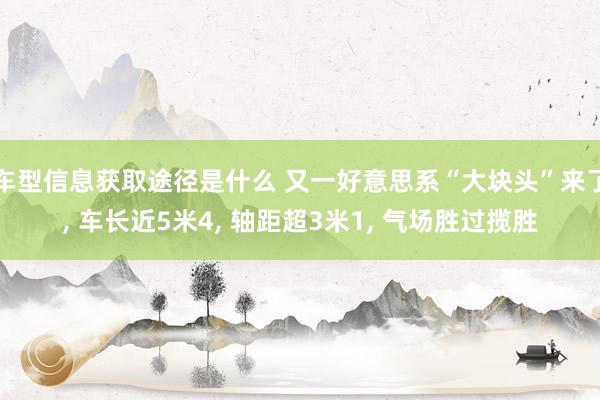 车型信息获取途径是什么 又一好意思系“大块头”来了, 车长近5米4, 轴距超3米1, 气场胜过揽胜