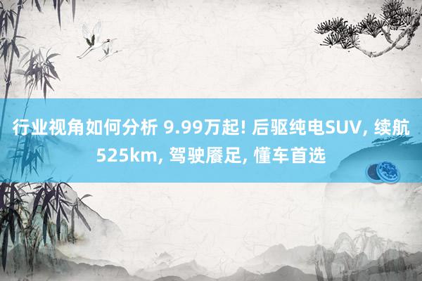 行业视角如何分析 9.99万起! 后驱纯电SUV, 续航525km, 驾驶餍足, 懂车首选