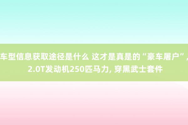 车型信息获取途径是什么 这才是真是的“豪车屠户”, 2.0T发动机250匹马力, 穿黑武士套件