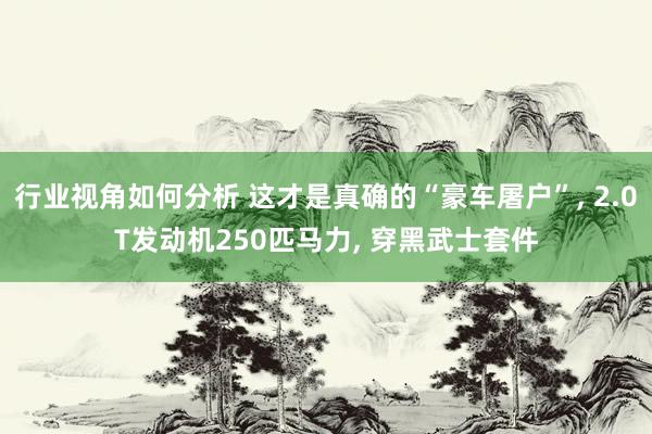 行业视角如何分析 这才是真确的“豪车屠户”, 2.0T发动机250匹马力, 穿黑武士套件