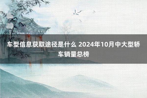 车型信息获取途径是什么 2024年10月中大型轿车销量总榜