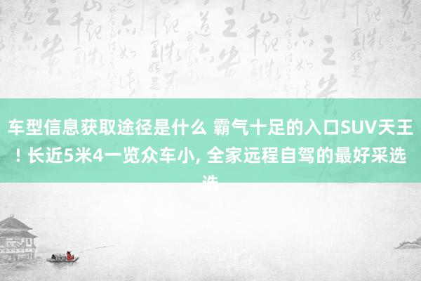 车型信息获取途径是什么 霸气十足的入口SUV天王! 长近5米4一览众车小, 全家远程自驾的最好采选