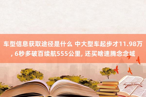 车型信息获取途径是什么 中大型车起步才11.98万, 6秒多破百续航555公里, 还买啥速腾念念域