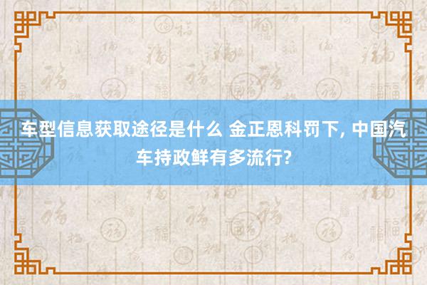 车型信息获取途径是什么 金正恩科罚下, 中国汽车持政鲜有多流行?