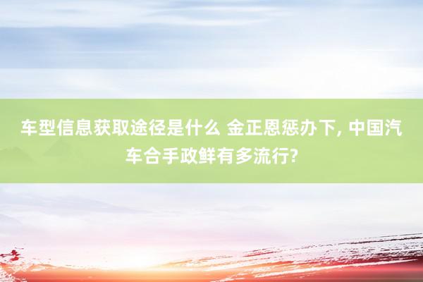 车型信息获取途径是什么 金正恩惩办下, 中国汽车合手政鲜有多流行?