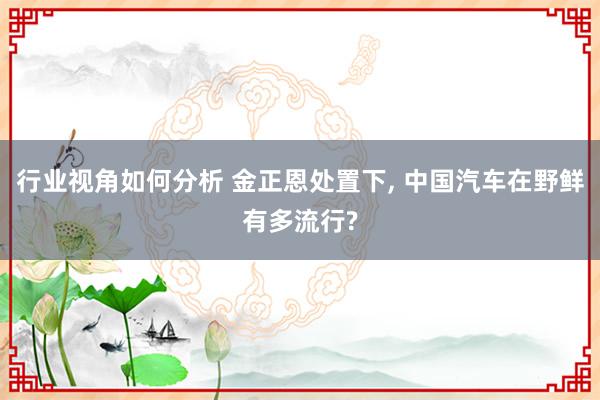 行业视角如何分析 金正恩处置下, 中国汽车在野鲜有多流行?