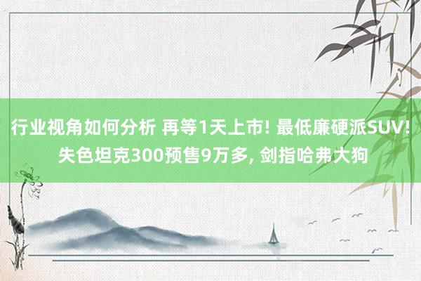 行业视角如何分析 再等1天上市! 最低廉硬派SUV! 失色坦克300预售9万多, 剑指哈弗大狗