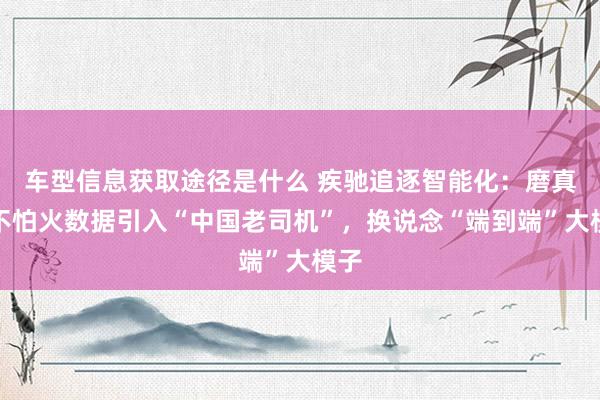 车型信息获取途径是什么 疾驰追逐智能化：磨真金不怕火数据引入“中国老司机”，换说念“端到端”大模子