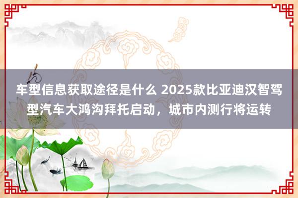 车型信息获取途径是什么 2025款比亚迪汉智驾型汽车大鸿沟拜托启动，城市内测行将运转