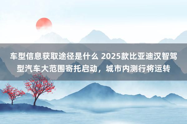 车型信息获取途径是什么 2025款比亚迪汉智驾型汽车大范围寄托启动，城市内测行将运转