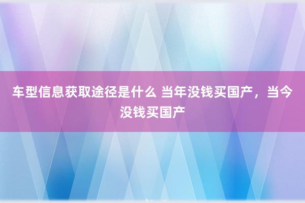 车型信息获取途径是什么 当年没钱买国产，当今没钱买国产