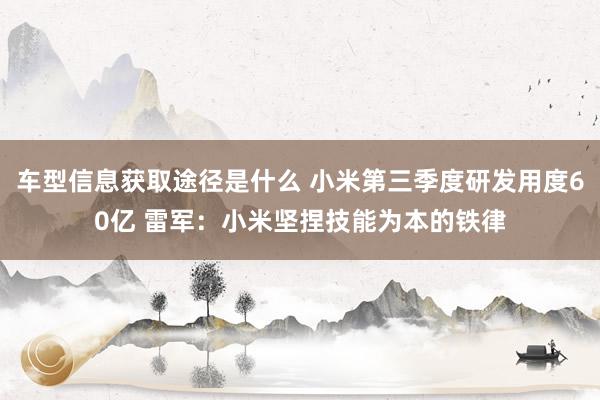 车型信息获取途径是什么 小米第三季度研发用度60亿 雷军：小米坚捏技能为本的铁律