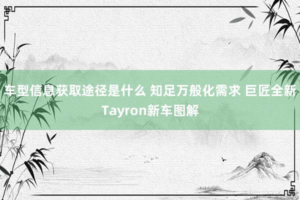 车型信息获取途径是什么 知足万般化需求 巨匠全新Tayron新车图解