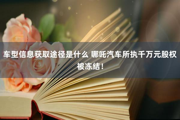 车型信息获取途径是什么 哪吒汽车所执千万元股权被冻结！