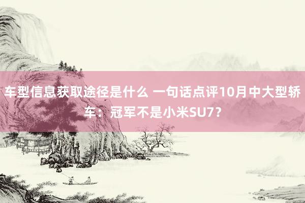 车型信息获取途径是什么 一句话点评10月中大型轿车：冠军不是小米SU7？