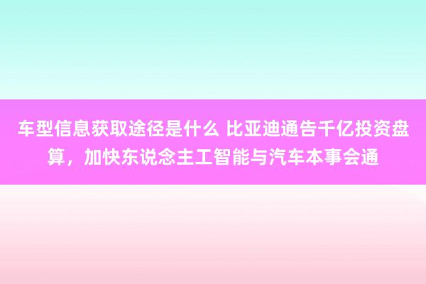 车型信息获取途径是什么 比亚迪通告千亿投资盘算，加快东说念主工智能与汽车本事会通