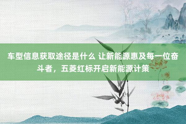 车型信息获取途径是什么 让新能源惠及每一位奋斗者，五菱红标开启新能源计策