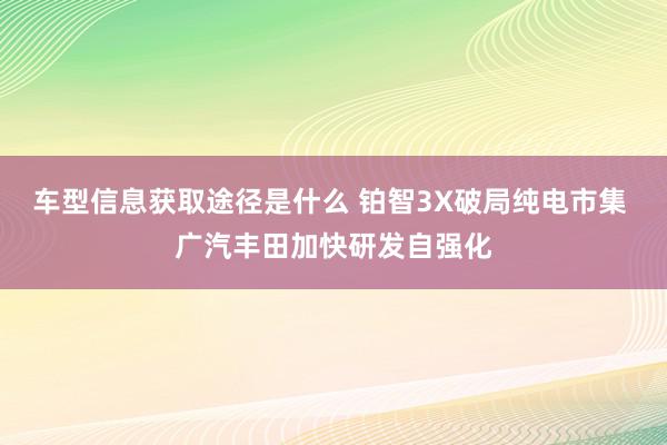 车型信息获取途径是什么 铂智3X破局纯电市集 广汽丰田加快研发自强化