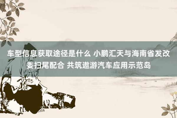 车型信息获取途径是什么 小鹏汇天与海南省发改委扫尾配合 共筑遨游汽车应用示范岛