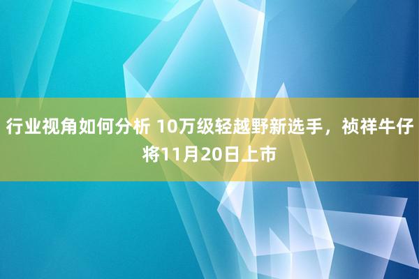 行业视角如何分析 10万级轻越野新选手，祯祥牛仔将11月20日上市