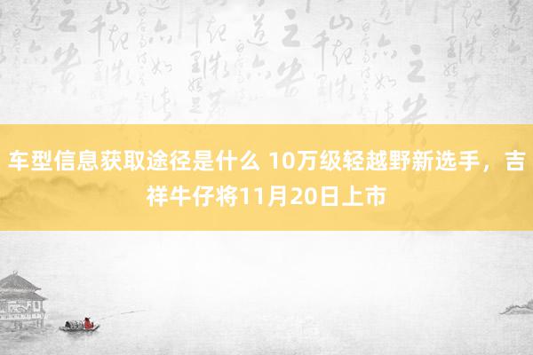 车型信息获取途径是什么 10万级轻越野新选手，吉祥牛仔将11月20日上市