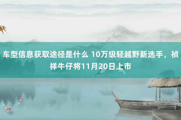 车型信息获取途径是什么 10万级轻越野新选手，祯祥牛仔将11月20日上市